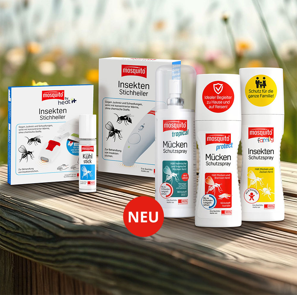 A sandwich on a wooden table in a sunny meadow