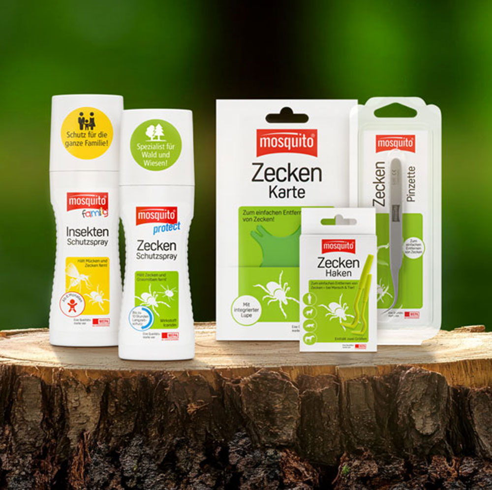 A sandwich on a wooden table in a sunny meadow