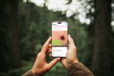 Perfect shot. Close up of mobile phone in arms of young lady isolated on blurred background. Woman taking picture of beautiful wood
