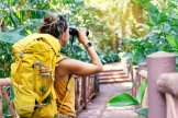 Traveling concept. Technology and adventure. Young woman using tablet computer in jungle.