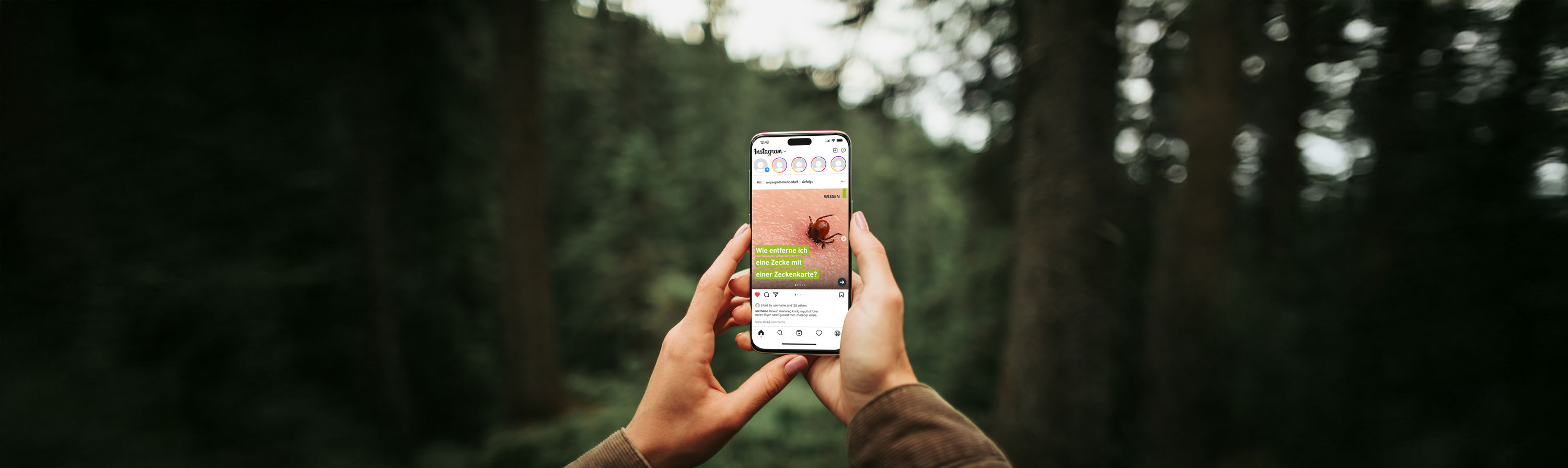 Perfect shot. Close up of mobile phone in arms of young lady isolated on blurred background. Woman taking picture of beautiful wood Perfect shot. Close up of mobile phone in arms of young lady isolated on blurred background. Woman taking picture of beautiful wood