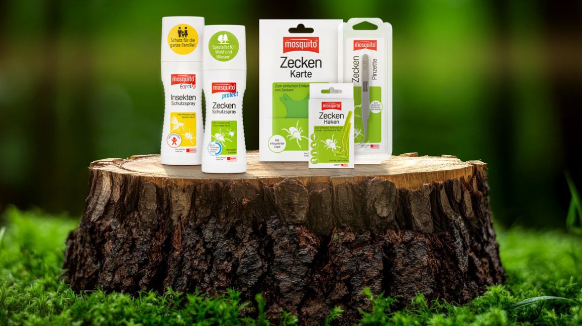 Forest Tree Stump Display: A rustic tree stump, nestled amidst vibrant green moss, provides a natural and enchanting display surface against a softly blurred forest backdrop.