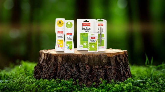 Forest Tree Stump Display: A rustic tree stump, nestled amidst vibrant green moss, provides a natural and enchanting display surface against a softly blurred forest backdrop.